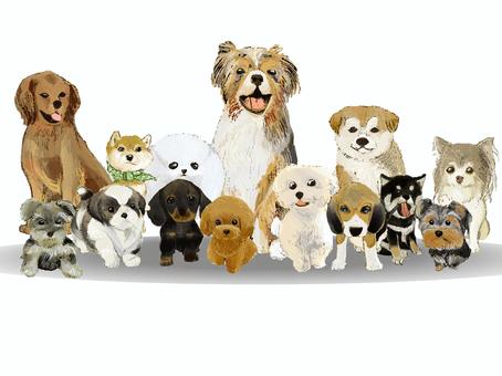 犬と私と